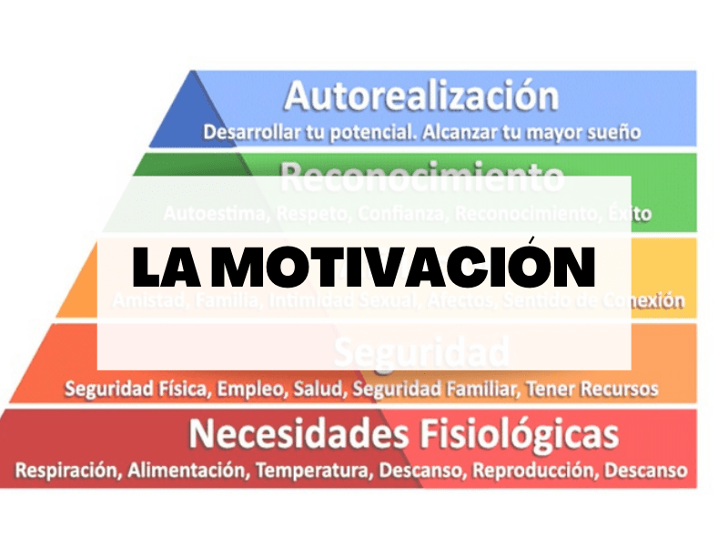 Descubre la importancia que tiene la motivación en nuestra vida